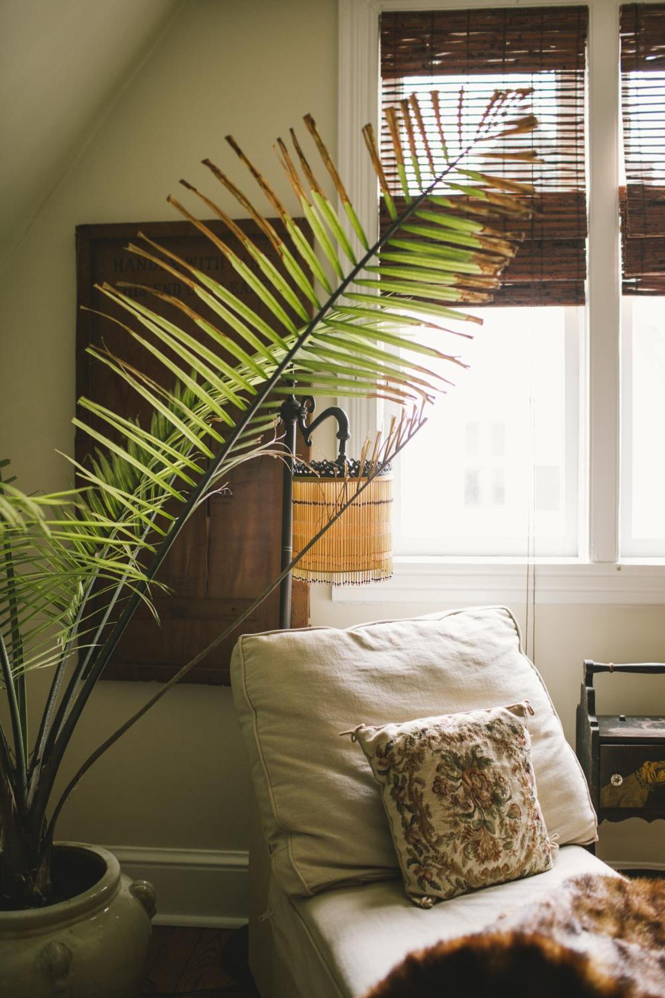10 Clarke Bed & Breakfast Frederick Rom bilde